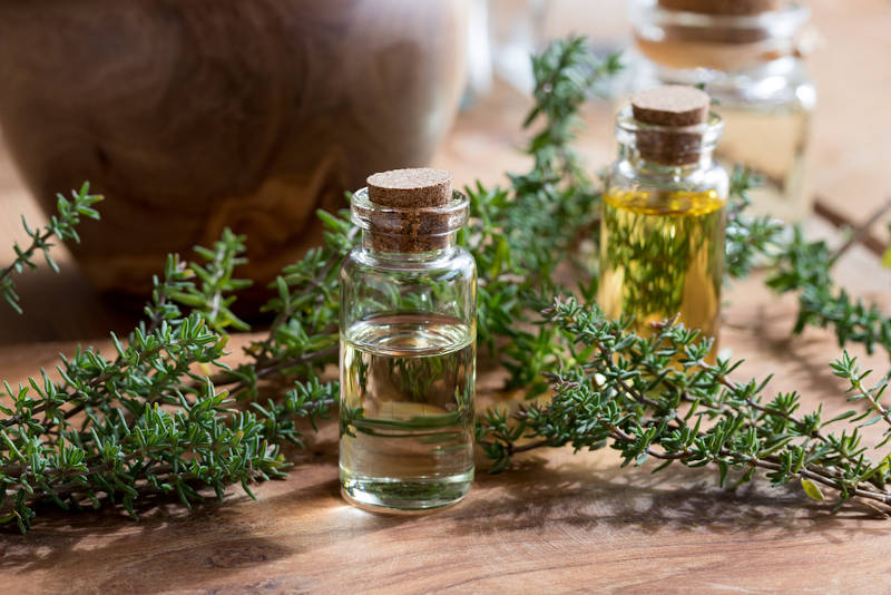 Magical Thyme leaves and essential oil.