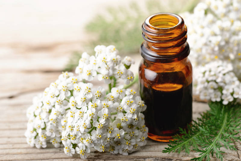 Yarrow herbs, flowers and essential oil commonly used in herbal magic for its magical properties.