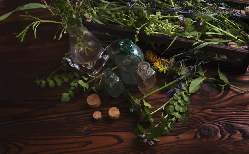 Wicca for beginners theme with fresh herbs and magic potions.