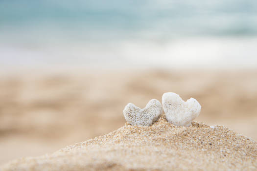 Two coral love hearts in the sand. 