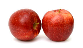 Two red apples isolated on a white background. 