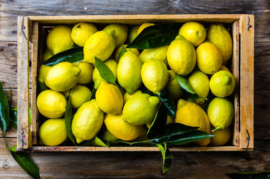 Lemons in a box being prepared for their magical properties. 