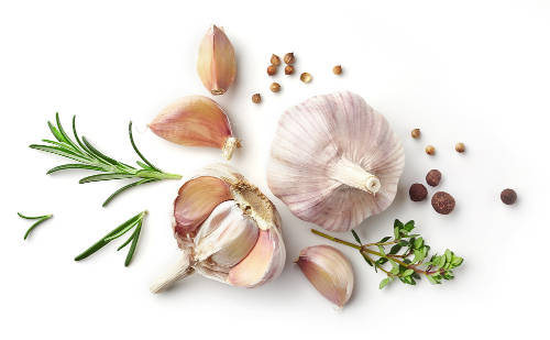 Magical properties of Garlic and garlic cloves on a white background. 