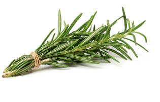 A bunch of fresh rosemary leaves.