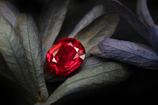A garnet crystal with magical and metaphysical properties on leaves. 