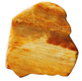 A piece of petrified wood isolated on a white background. 