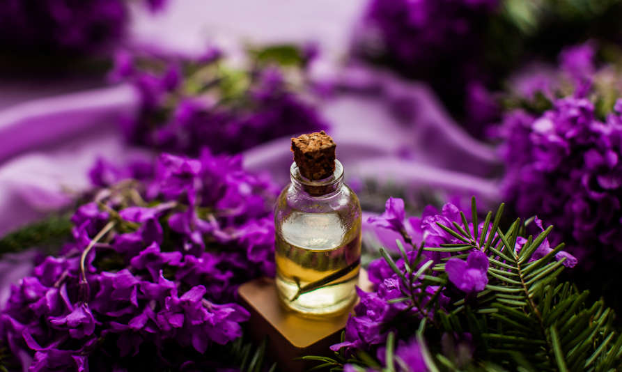 Herbs and essential oils for the third eye chakra.