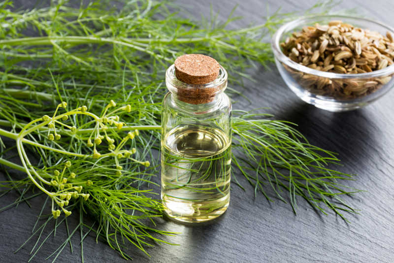 Herbs and essential oils for Aquarius.
