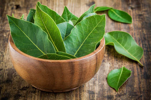 Bay Leaf with Magical Properties. 