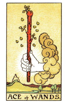 Ace of Wands Tarot Card. 