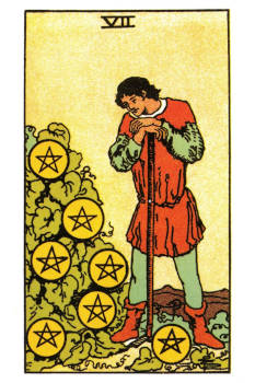 Seven of Pentacles Tarot Card. 