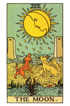 The Moon Tarot Card. 